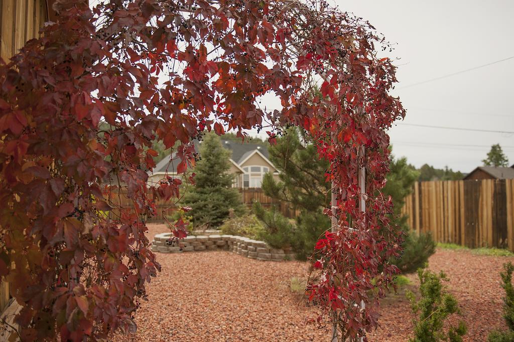 Grand Canyon Bed And Breakfast Уилямс Екстериор снимка